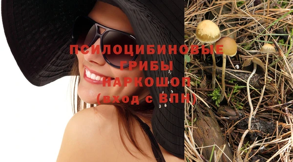 эйфоретик Козловка