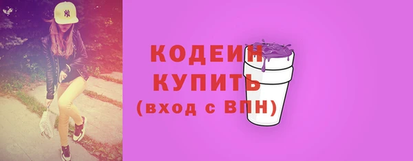 ПСИЛОЦИБИНОВЫЕ ГРИБЫ Вяземский