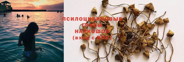 герыч Коряжма